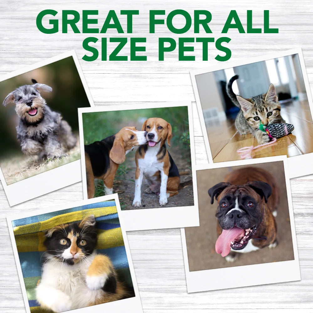 Dog Toothbrush - 10 Green Soft Finger Brushes per Pack