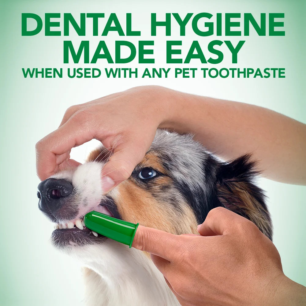 Dog Toothbrush - 10 Green Soft Finger Brushes per Pack