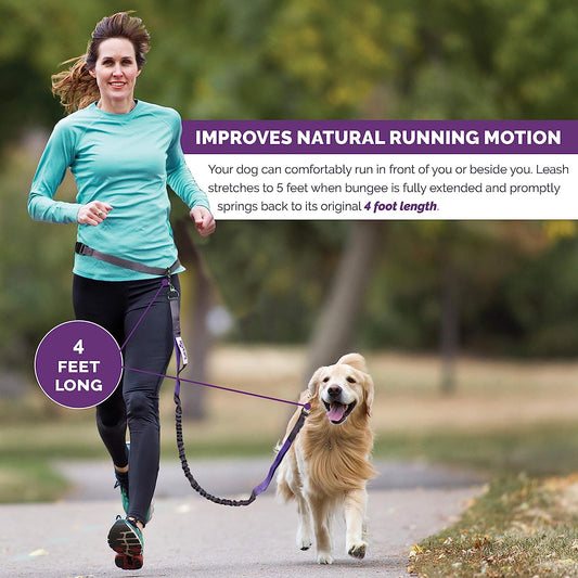 Hands-Free Waist Leash for Dog with Adjustable Belt 