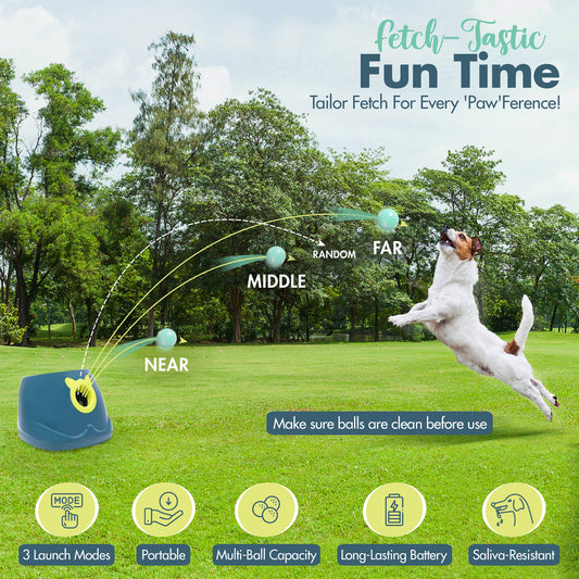 Automatic Dog Ball Launcher