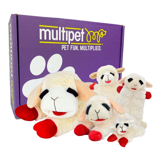 Lamb Chop Dog Toy Box, 5-Count