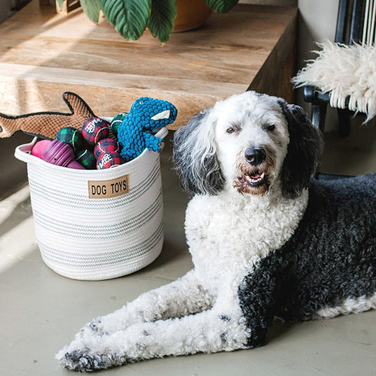 Dog Toy Organizing Cotton Basket (Large)